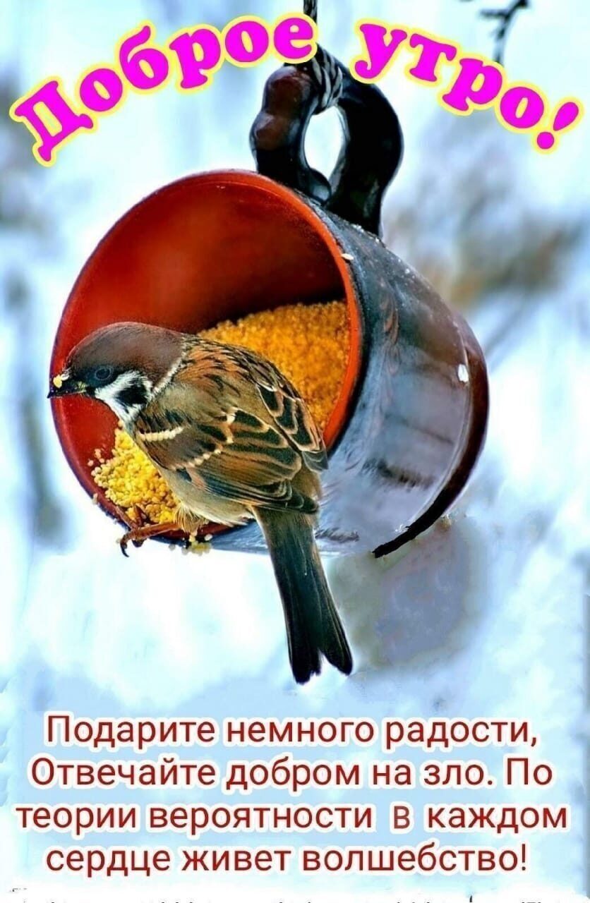 Подарите немного радости Отвечайте добром на зло По теории вероятности в каждом сердце живет волшебство