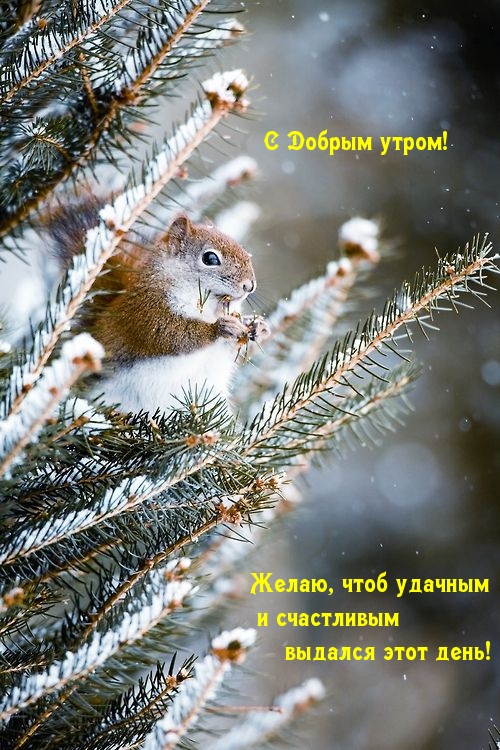 вю чтоб удачным тливым яч этот день