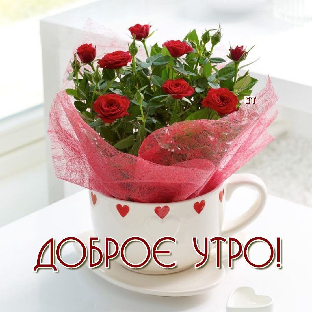 Доброеутро!