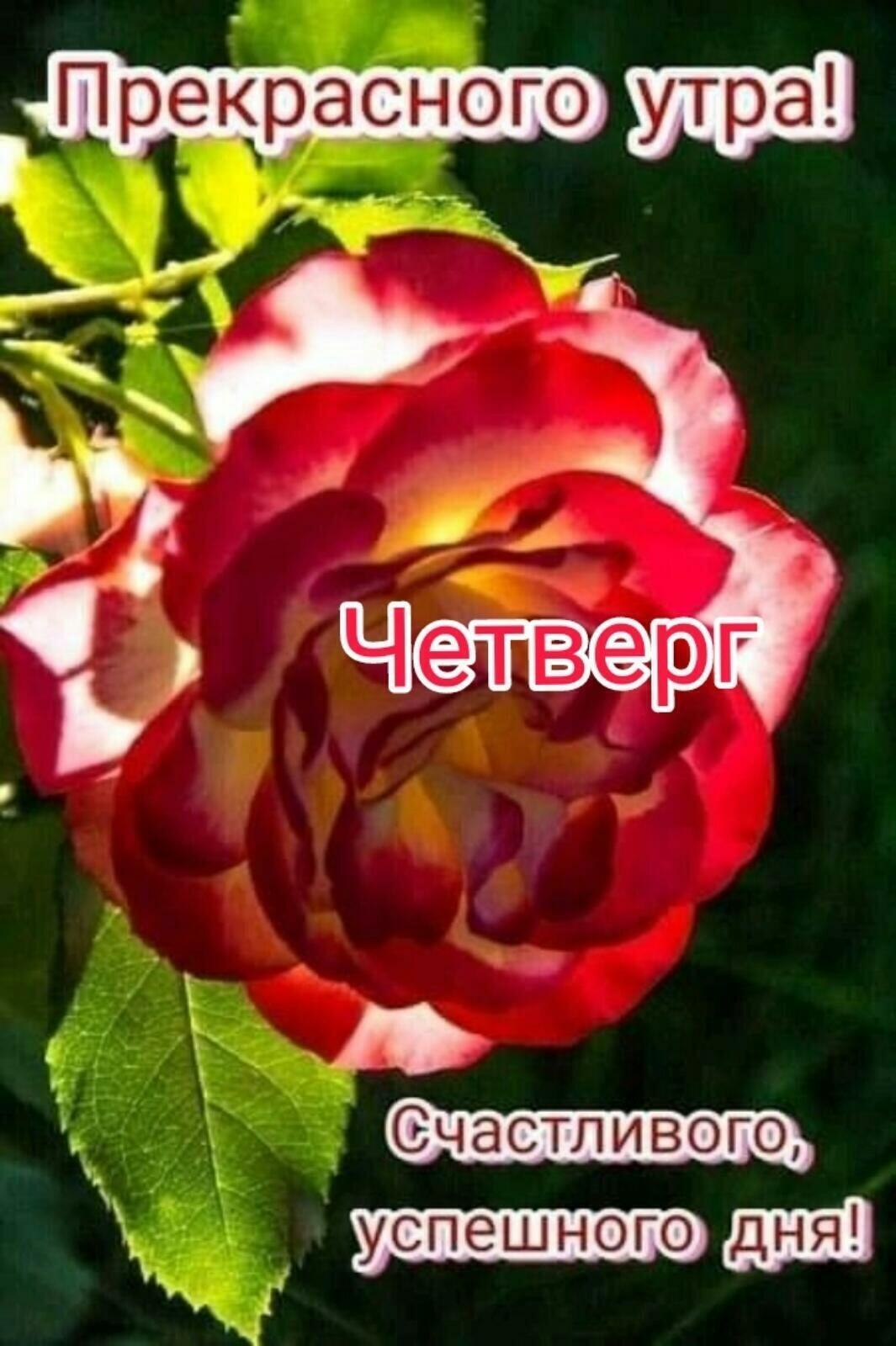 ттт Вчастливого