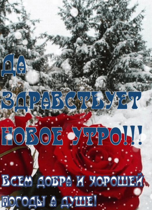 Жоб ее  всем!з.обра и. Э'орошеи погоды а ше м
