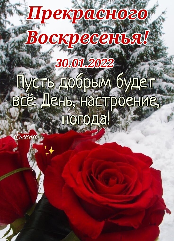 К фздеда всаад ньнастро ніёт зёго аі а д и