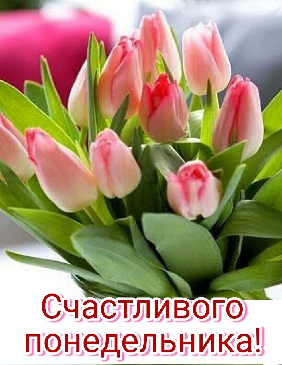 Счастливого понедельника