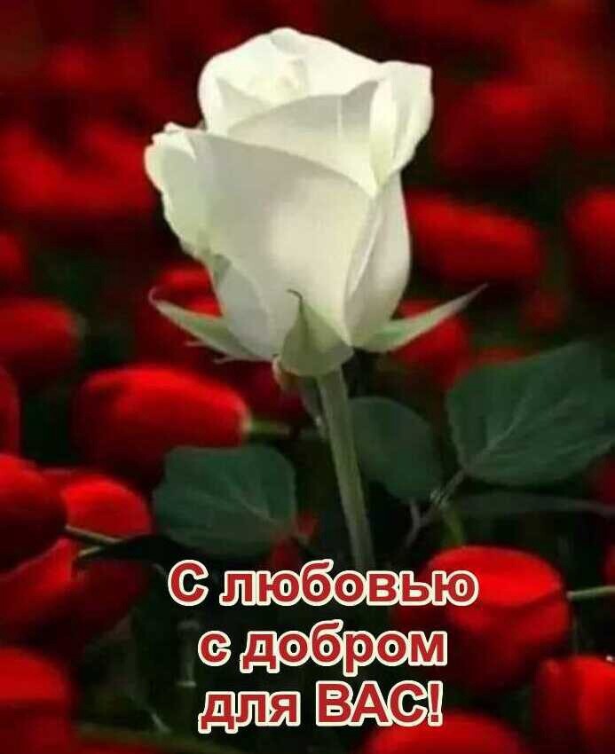 любовыюю  добрем