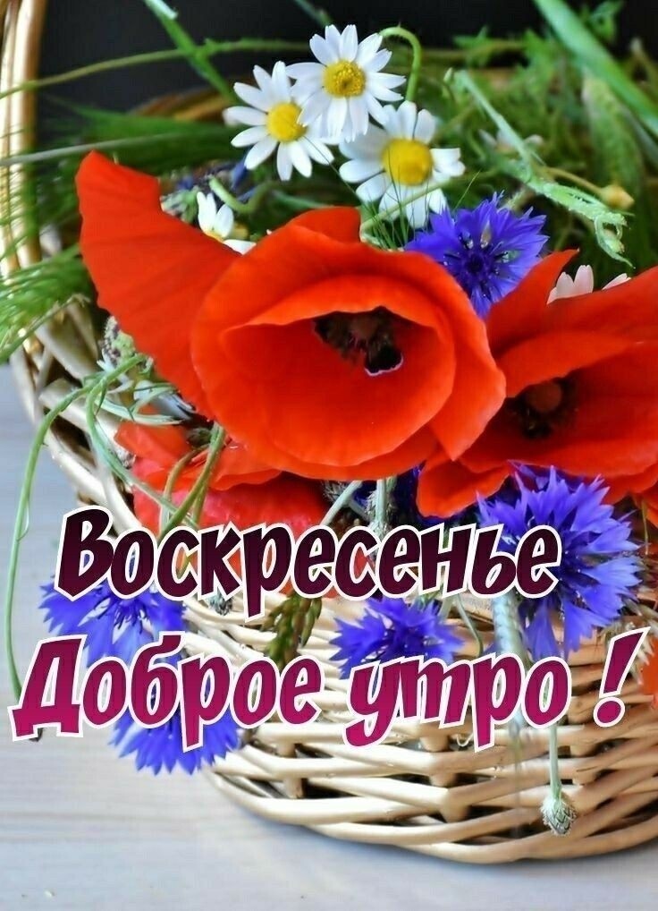 Воскресетоя, доброё улпроея ее