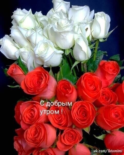 С добрым РОМ и сатттт