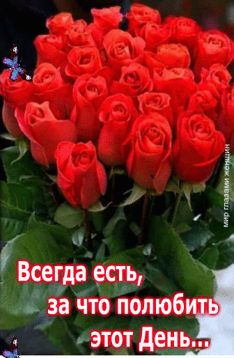 ё Всегда есть Ё за что полюби этот день