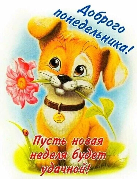 Лус эёуедгия будет Зинудйдаг