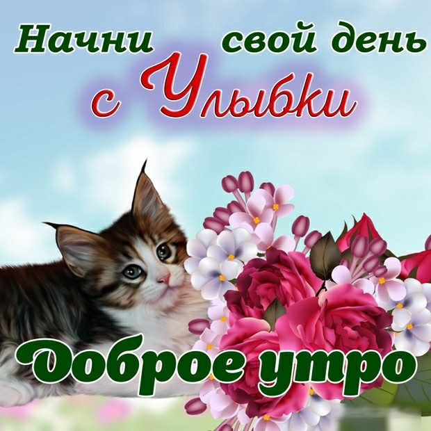 Начни свой день Ё хьЬМЗЦ Фоброе у