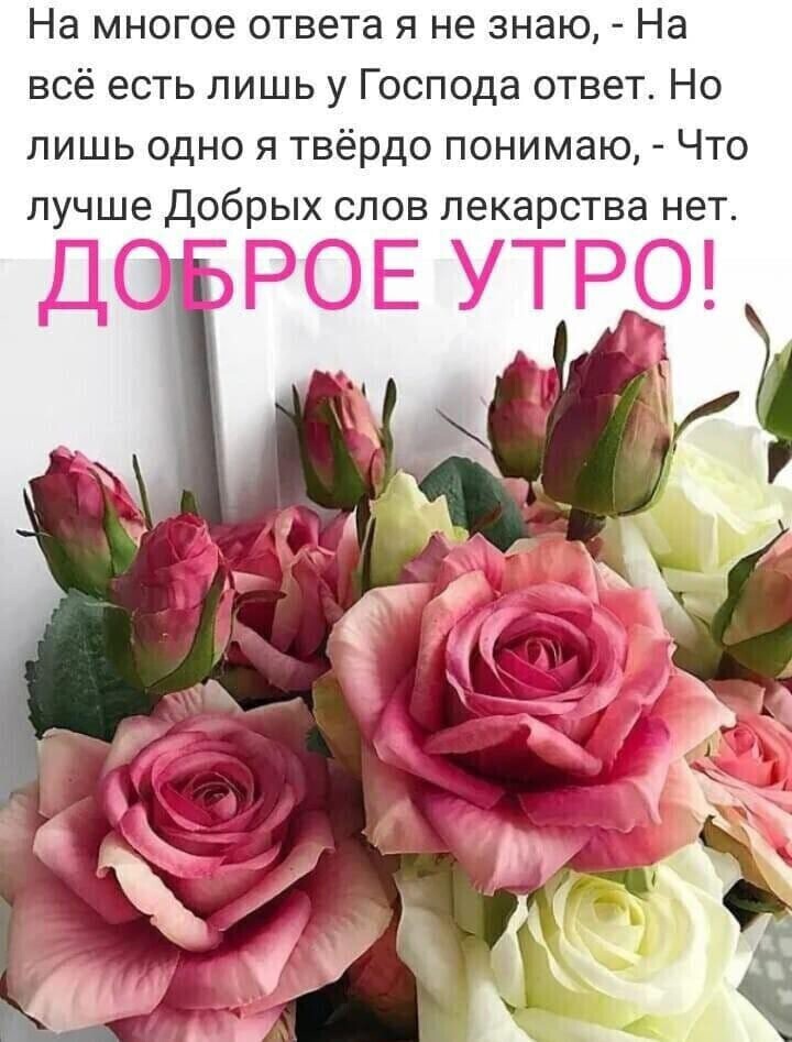На многое ответа я не знаю На всё есть лишь у Господа ответ Но лишь одно я твёрдо понимаю Что лучше Добрых слов лекарства нет