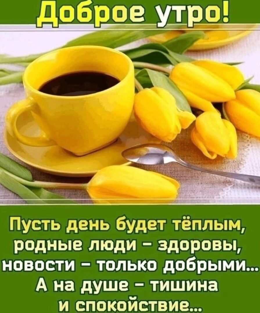 Пусть день будет тёплым родные люди здоровы новости только добрыми А на душе тишина и спокойствие