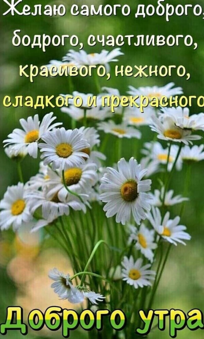 Желаю оёмого доброго бодрого счастливого кр о нежного оладк ого