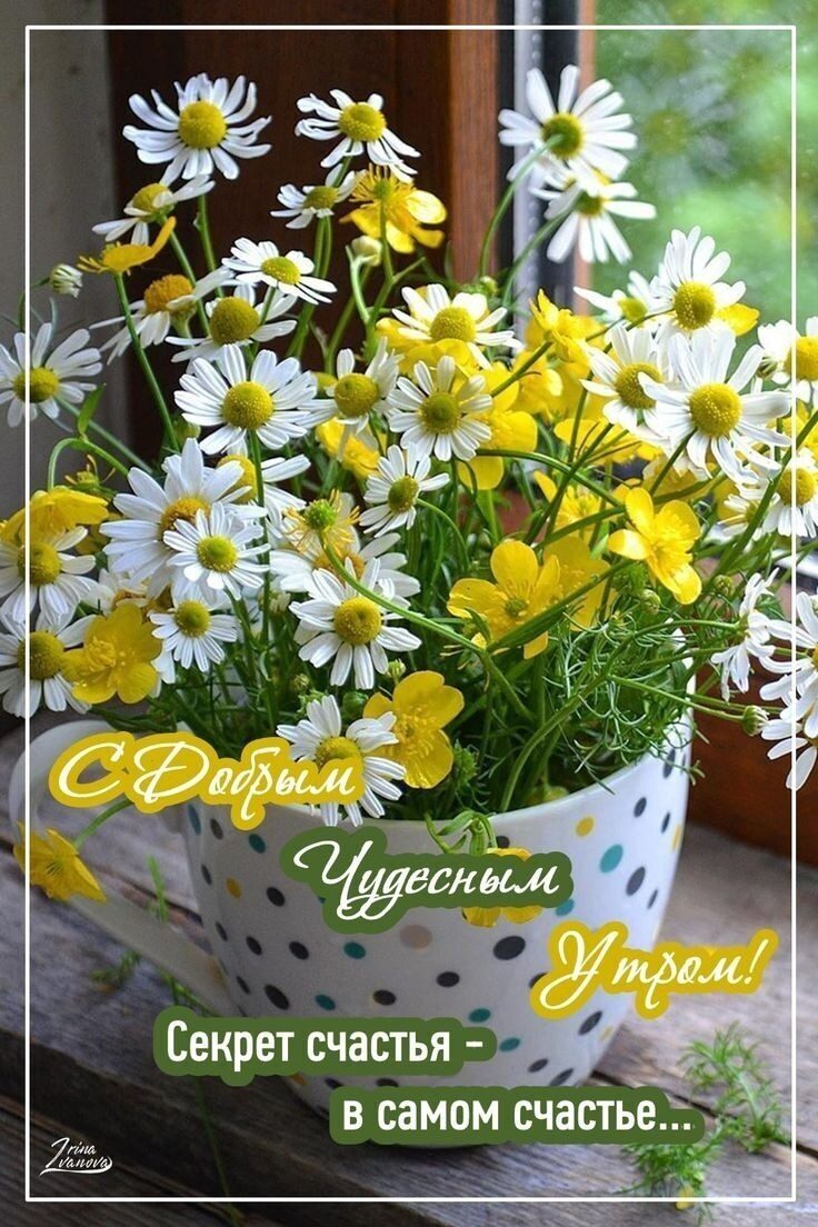 Секрет счаётья _ в самом счастье _