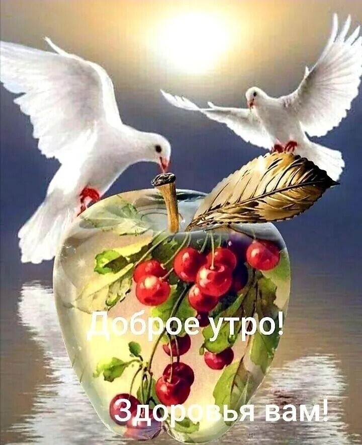 о утро! . Сф , 1