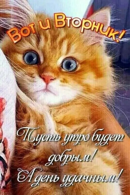 ур   .