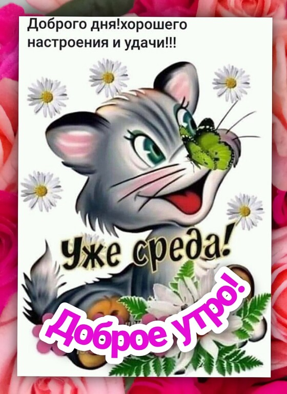 Доброго дняхорошего настроения и удачи