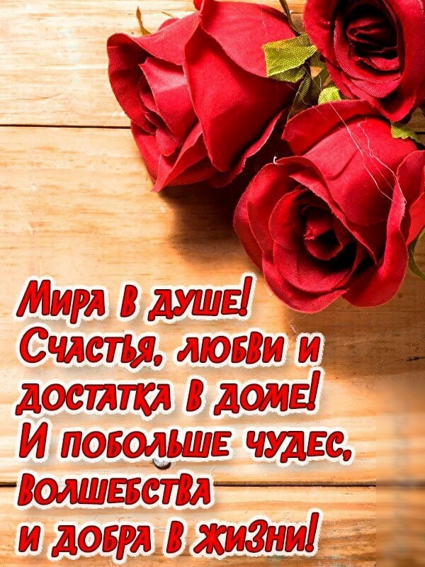 чшстыо ПЮБВШШ дастткд В джёі БщЬШЕ 13Ёт ш