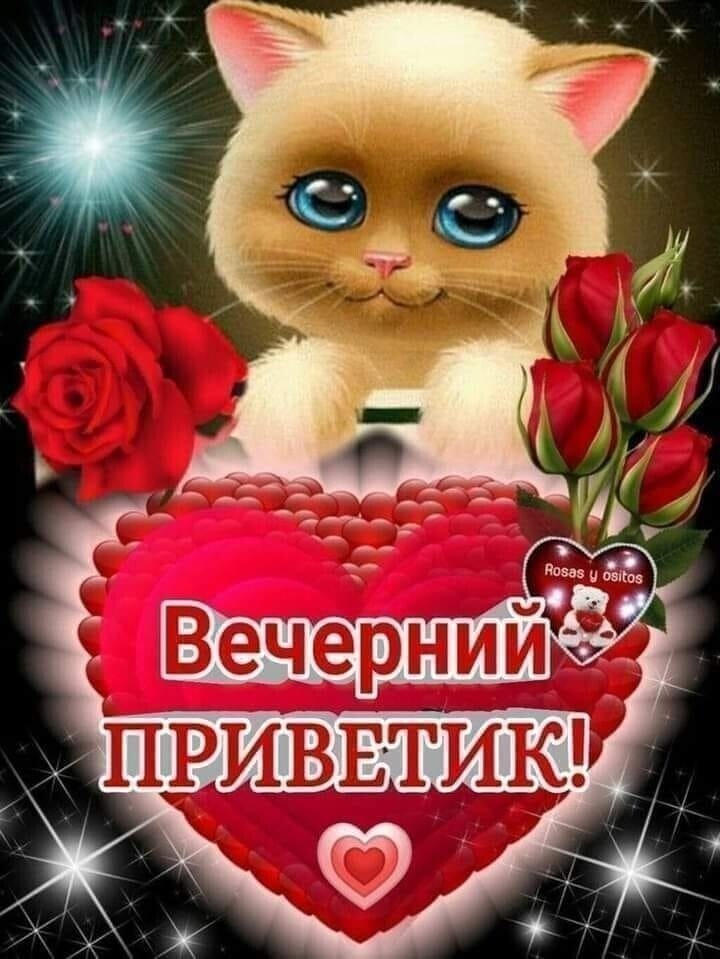 ВПРИВЕТИК