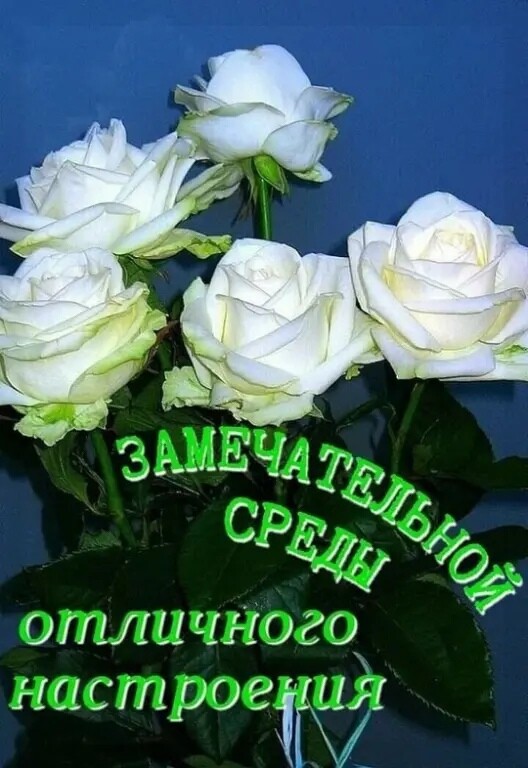 ШШШ гцош на стро