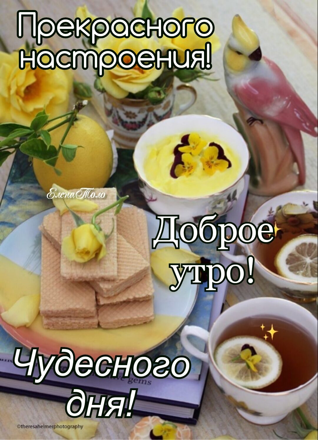 Нетрэеныя Чудесное 42