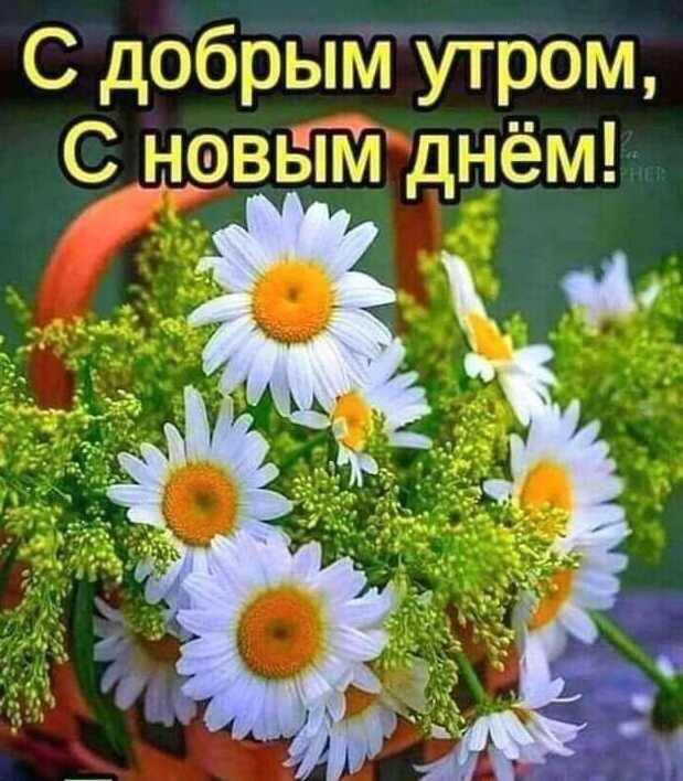 С добрыитутэм С в днём Пд _