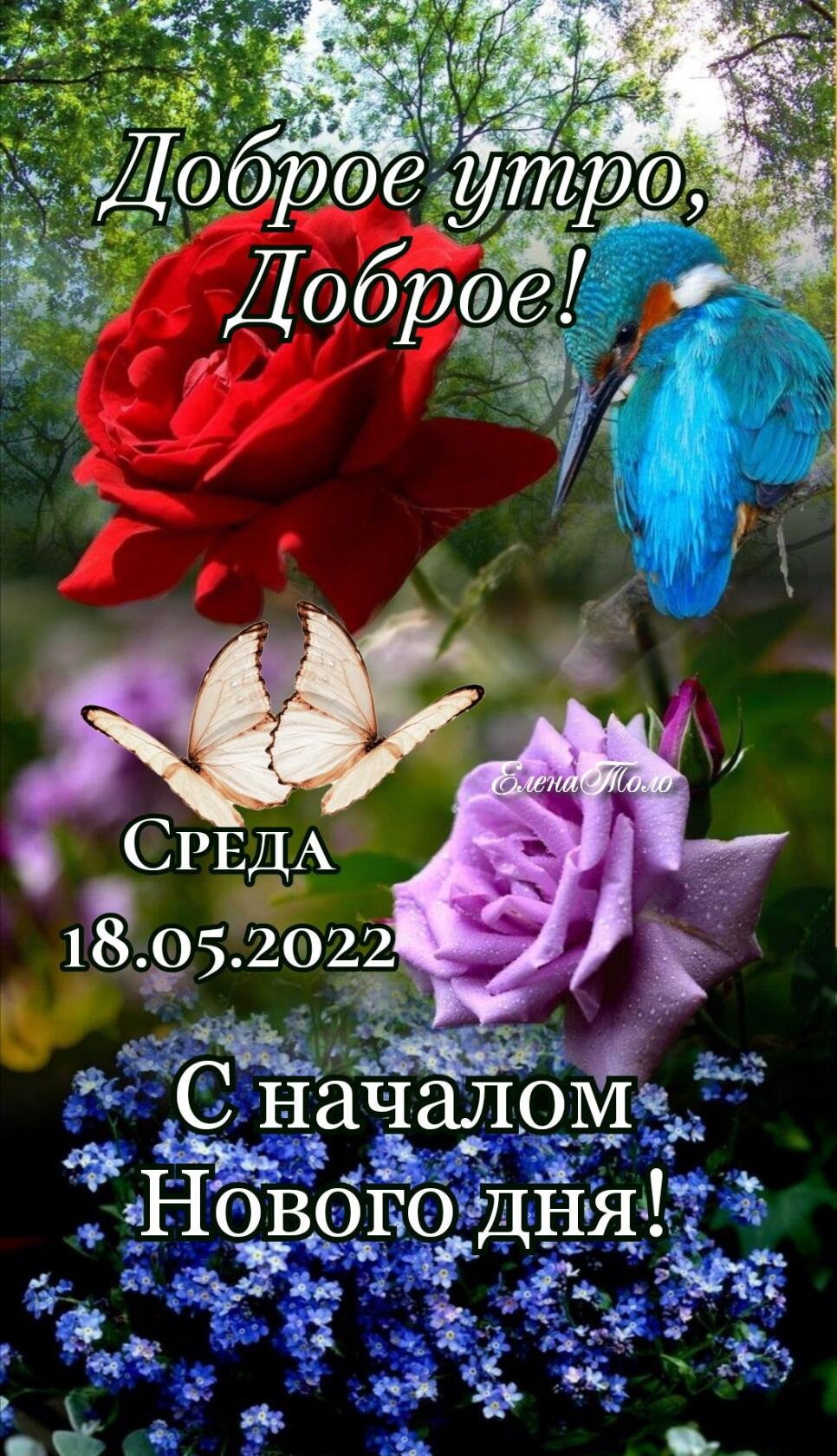 Новогф Дня 334 кв _ Ё _ __ Чі Е _ 4 р я _ ЁЧЁ чё к