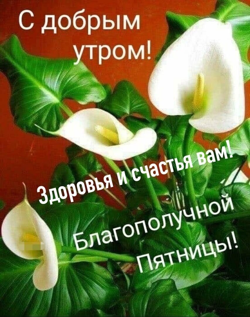 С добрым у_тром