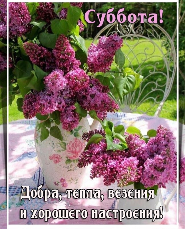 шнстш