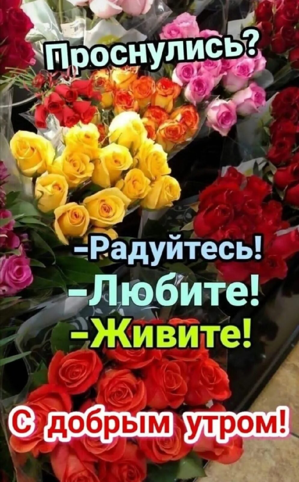 Эт здіщ