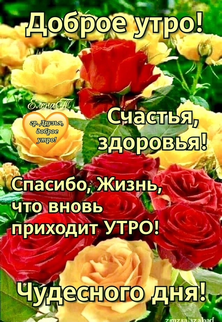 Р одйтУТРО 5ЖИ3Н асибо 2 г С рих иё Ё1п