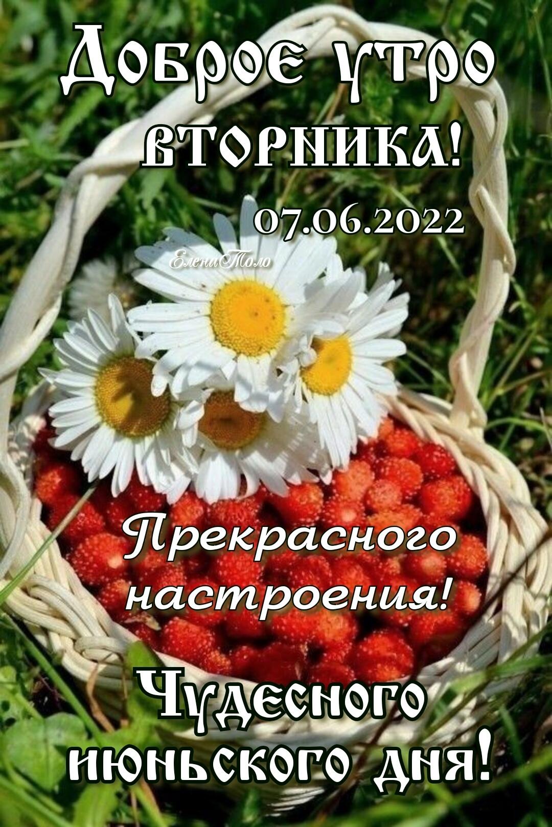 Шрекрасного Настроенщуг П 213 Чыдщгзд НЮНЬСКЪПО АНЯ