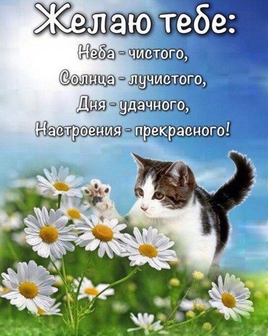 лишат 3159 дтшштю Душ душа ш