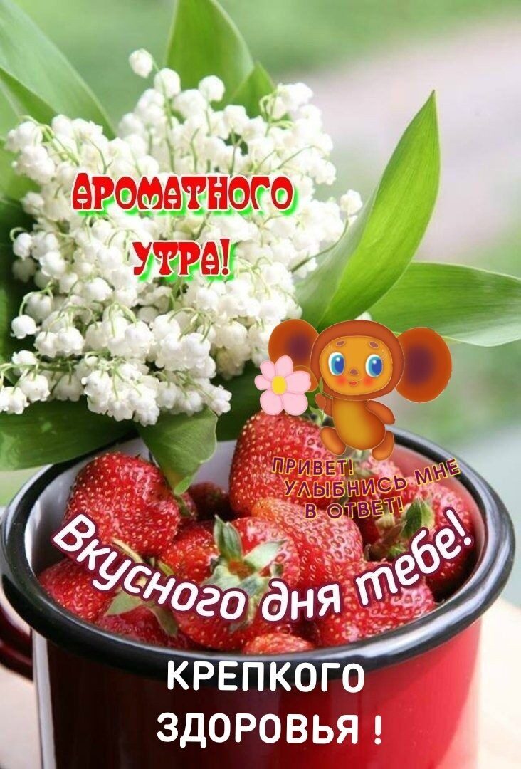 ароматного швы 4 ЗДОРОВЬЯ