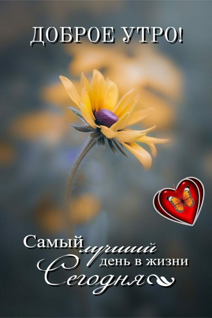 ДОБРОЕ У РО 0 Самый О день в жизни ГМу