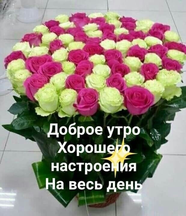 доброе ут о Хорош настрое я а весь ден _