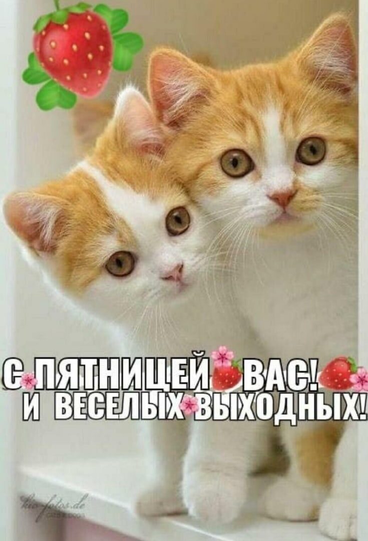 ЯіТі ВЕ ЕЕЛЫХЗЫХЦЗДНЫХ