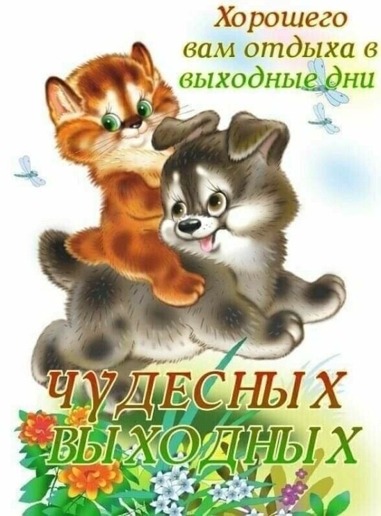Хорошего вам отдыха бфмыходьни
