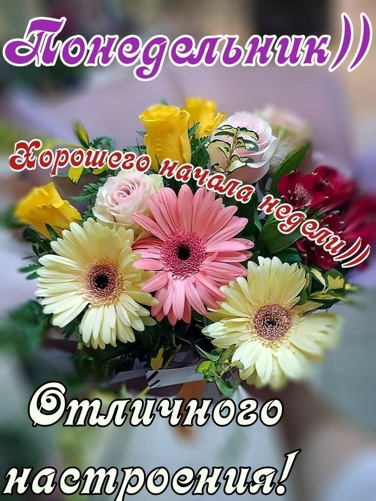 СПОЩе ульн И