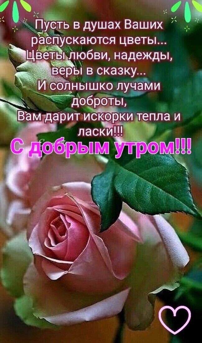 у р _ Пуь в душах Ваших распускаются цветы Щветьііід юлбви надежды веры в сказку И солнышкодучами добддты