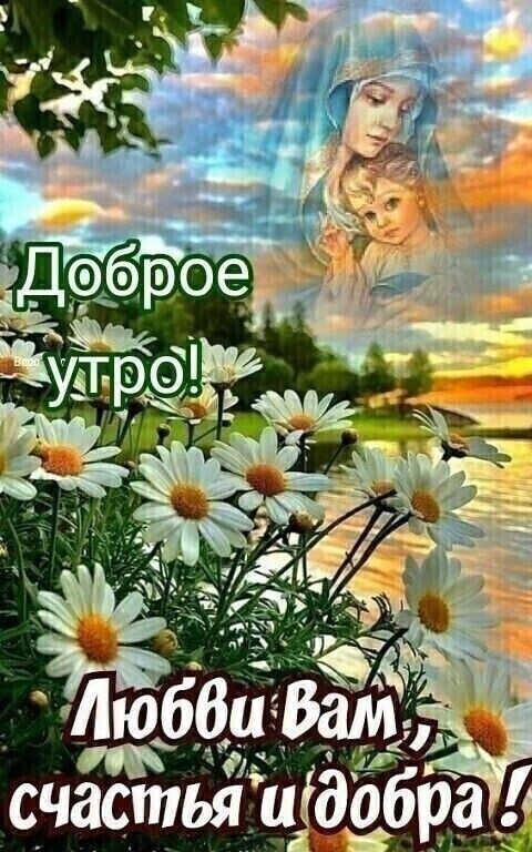 11ЁЛ счастья и д