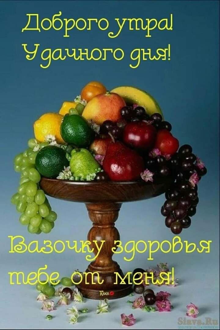 У дамного ч
