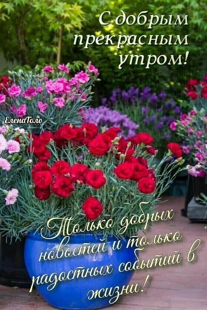 Сдобрым п рек сным ут ром