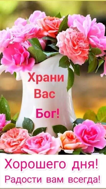 анра Ч Е 1 С