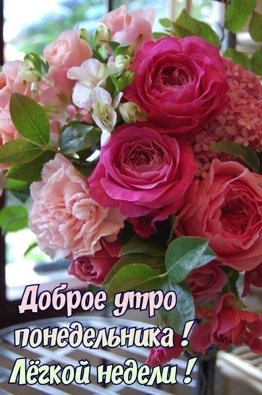 к ЛОБРОёНЩРд і поне ельнша Йёгкой недемі к
