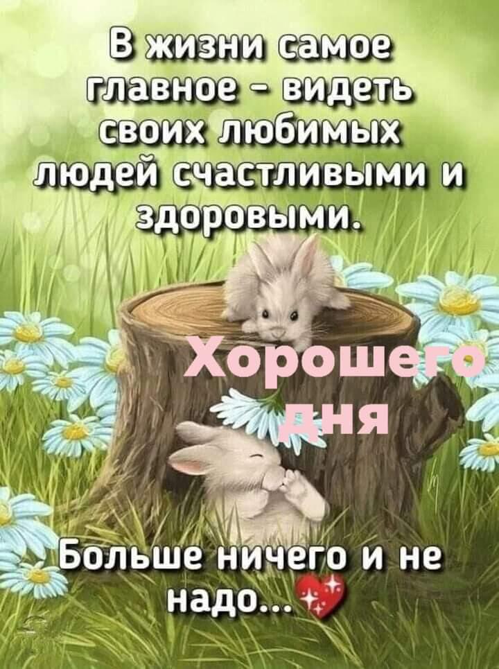 тапки Ш ЗДОРОВЫМИ