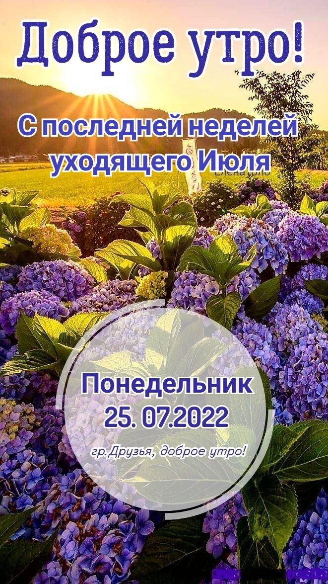Доброе утро Понедельник 25072022