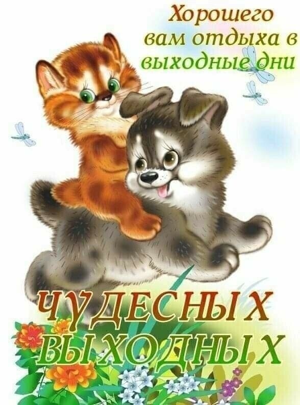 Хорошего вам отдыха багнвыходыёёни