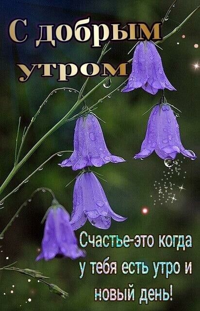 утебя есть у1рои _ новый день