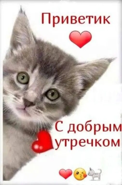 ч Приветик С добрым утречком