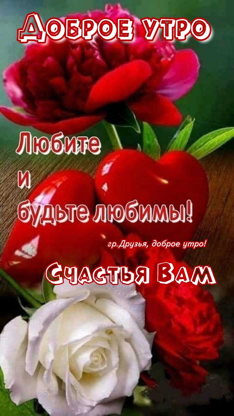 Ш д Ю ЁМтсэшшшхёпц дру д5ре утра ЧМЁ Вами